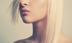 Etiam commodo convallis