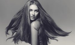 Aliquam erat volutpat